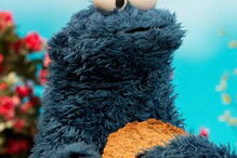 Monstro das Bolachas, Elmo, Egas, Becas, Rosita, Muppets, Rua Sésamo, Gerard Piqué, Veggie Monster, alimentação, exercício físico, Televisão, Obesidade infantil