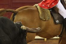 RTP, TOURADAS, TELEVISÃO, TAUROMAQUIA, CORRIDAS