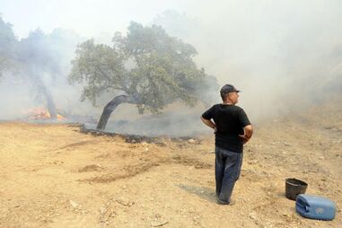 incêndios, São Brás de Alportel, fogo, perigo