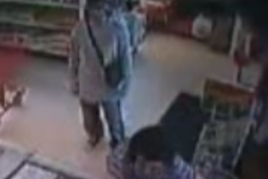 emigrante, portuguesa, assalto, roubo, videovigilância, manga, fruta, câmara, eua, new bedford