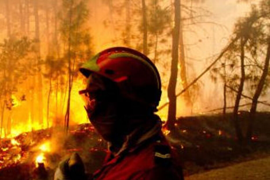 Inem,Protecção Civil,