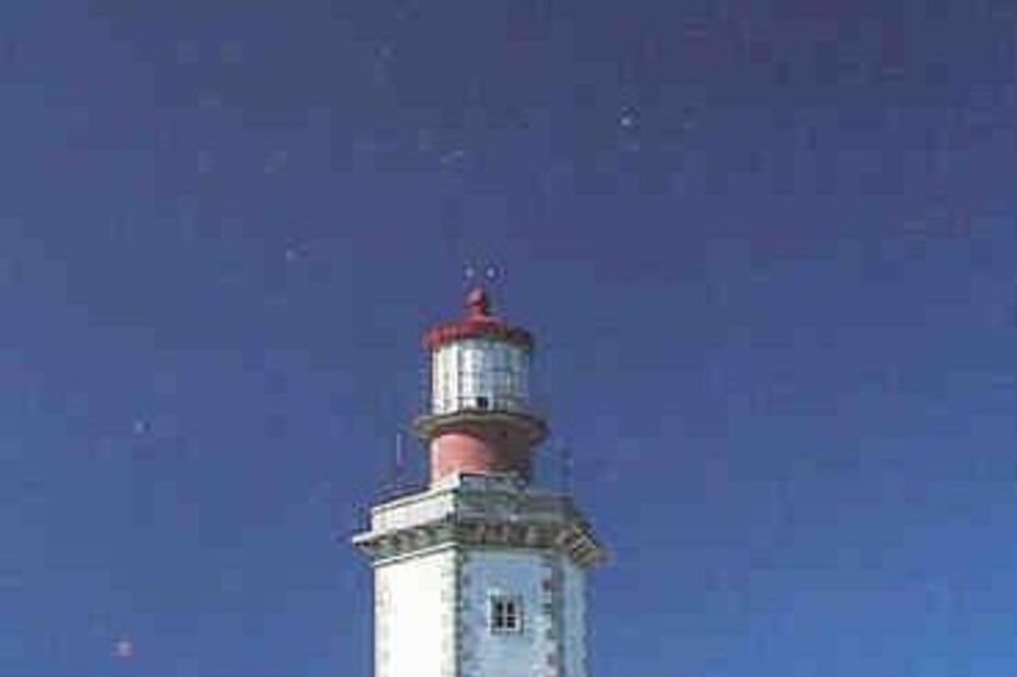 CIÊNCIA VIVA, ACTIVIDADES