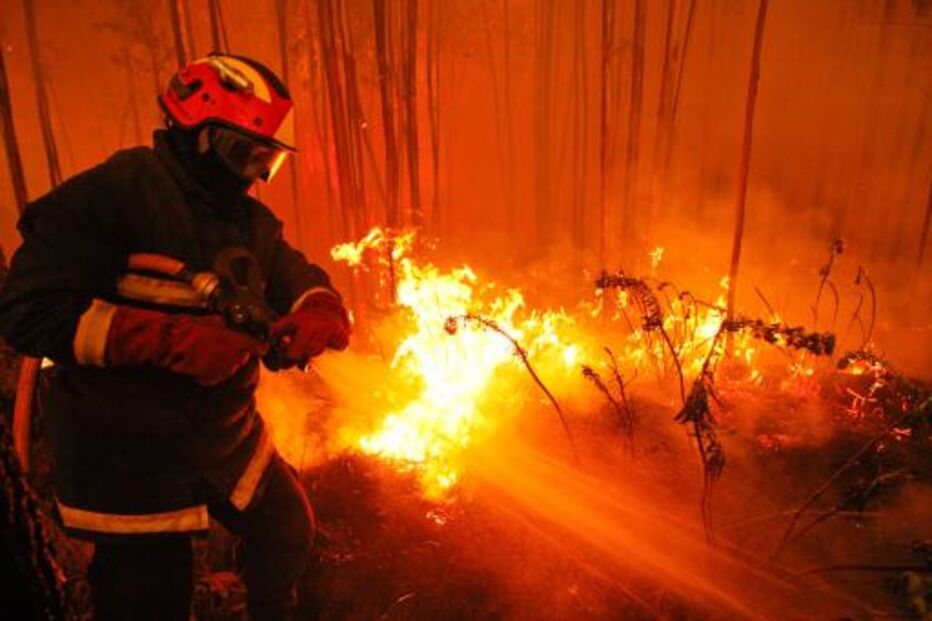 Bombeiros, feridos, Alpiarça, fogos, combate, incêndios