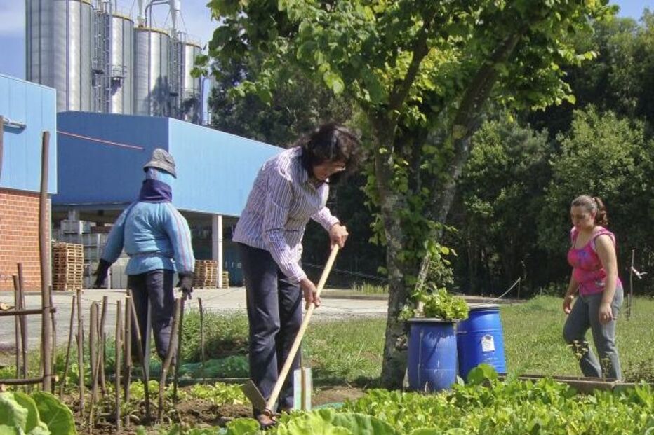 famalicão, hortas urbanas, voluntariado, agricultura biológica