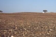 Agricultura, seca, chuva, prejuízos