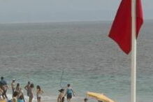 alforreca, caravela portuguesa, bandeira vermelha, praia, Costa da Caparica, Morena, Sereia, Hula-Hula, Polícia Marítima, mar, Açores, alga, Horta, Gordon, 