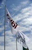 A Altri detém três fábricas de pasta de papel (Celbi, Celtejo e Caima) e gere mais de 85 mil hectares de floresta certificada em Portugal
