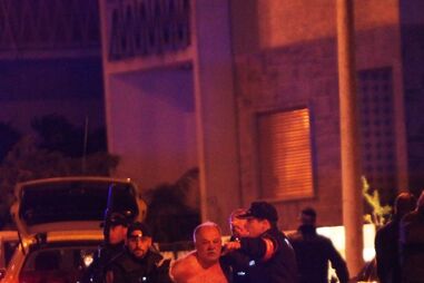 monstro, beja, francisco esperança, autópsia