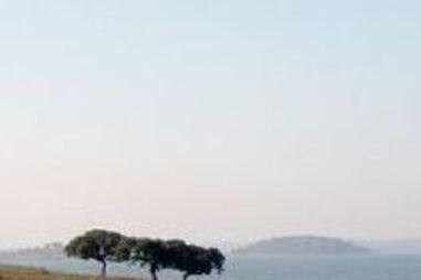  Reserva no Alentejo é "paraíso" para observação astronómica nocturna 