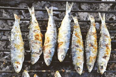 Sardinha, Algarve, Traineira, Festival da Sardinha
