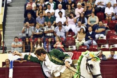 Campo Pequeno, Infante da Câmara, João Telles Filho, Aposento da Moita, Forcados, Portalegre, Joaquim Bastinhas, João Salgueiro, Corrida TV, João Telles Filho, Tauromaquia