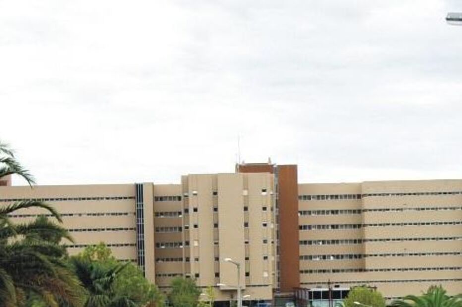 CONSTÂNCIA, GRÁVIDA, DISCUSSÃO, MATA, HOSPITAL, PARTO