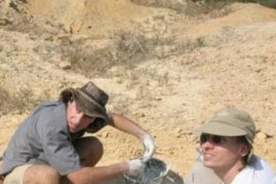 paleontólogo, português, Gronelândia