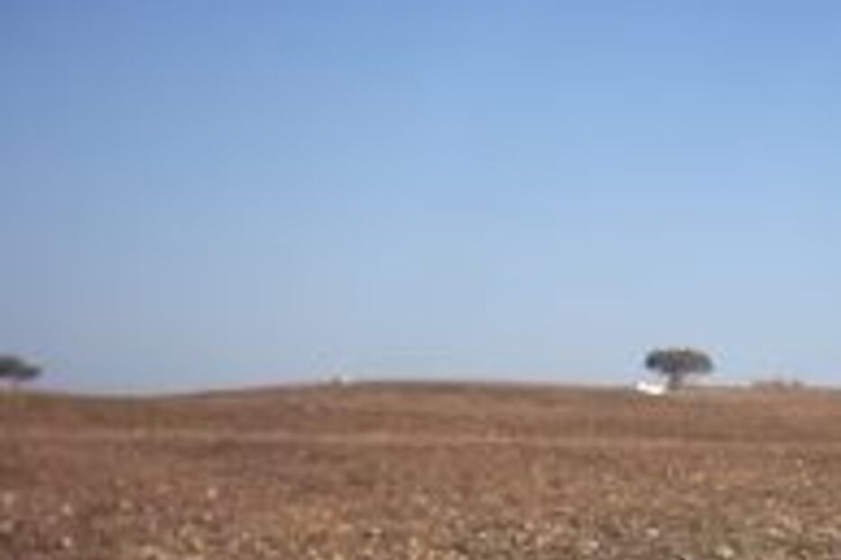 Agricultura, seca, chuva, prejuízos