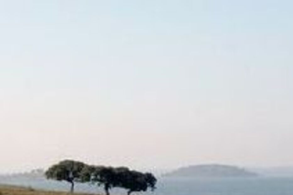  Reserva no Alentejo é 