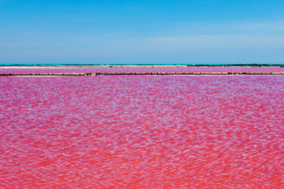rio, vermelho, encarnado, sal, frança, camargue, senegal, cores