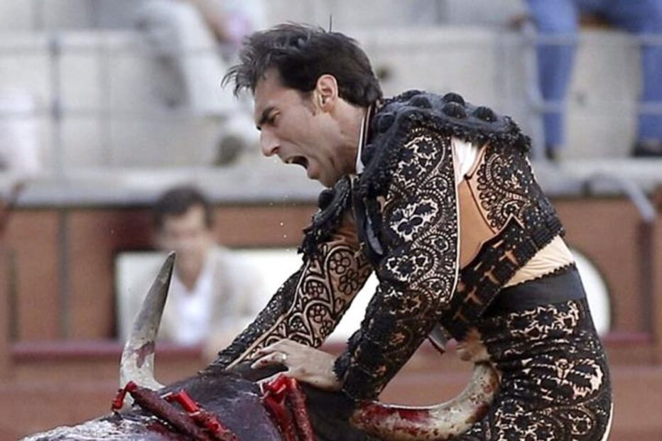 toiros, tourada, espanha, fernando cruz, cornada, laz ventas, tauromaquia