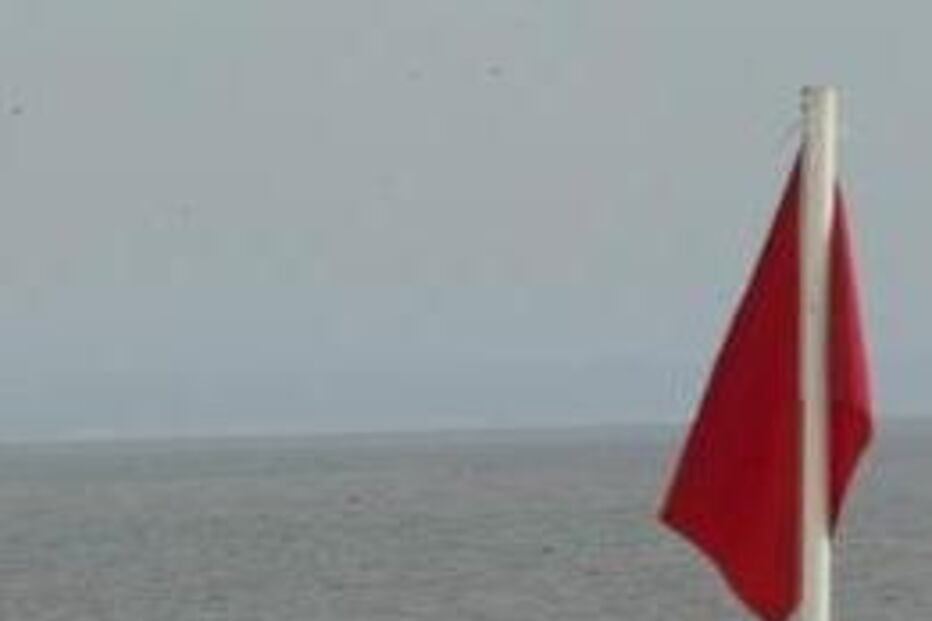 alforreca, caravela portuguesa, bandeira vermelha, praia, Costa da Caparica, Morena, Sereia, Hula-Hula, Polícia Marítima, mar, Açores, alga, Horta, Gordon, 