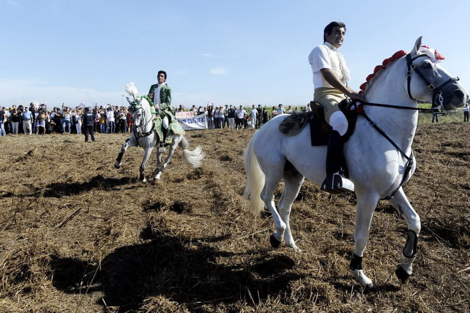 Prótoiro, corrida de touros, agricultura, lixo, Viana do Castelo