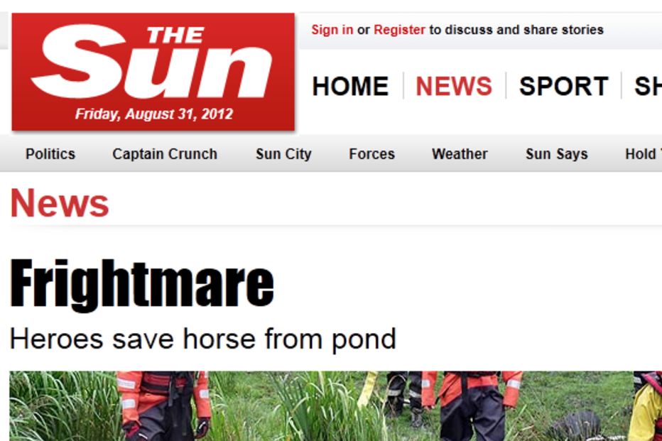 cavalo, lama, reino unido, resgate, cheias, lamaçal, pântano, animais