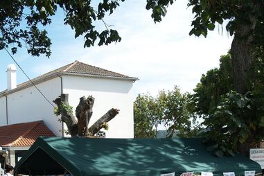  padre Fontes, Dom Bruxo, Vilar de Perdizes, congresso de medicina popular