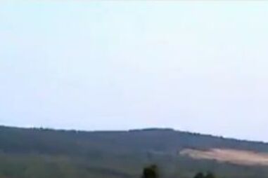 vaca, polónia, jogo, equipas, campo, futebol