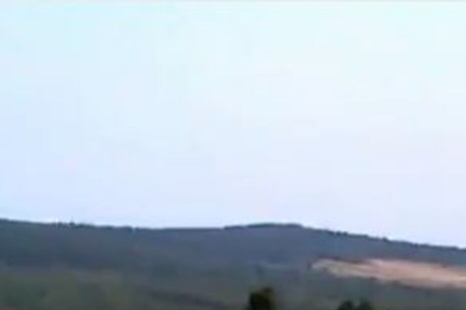 vaca, polónia, jogo, equipas, campo, futebol