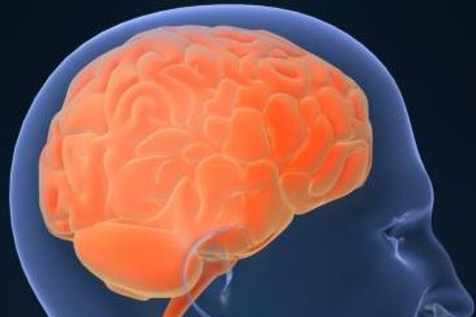 Neurónios, Ciência, Estados Unidos