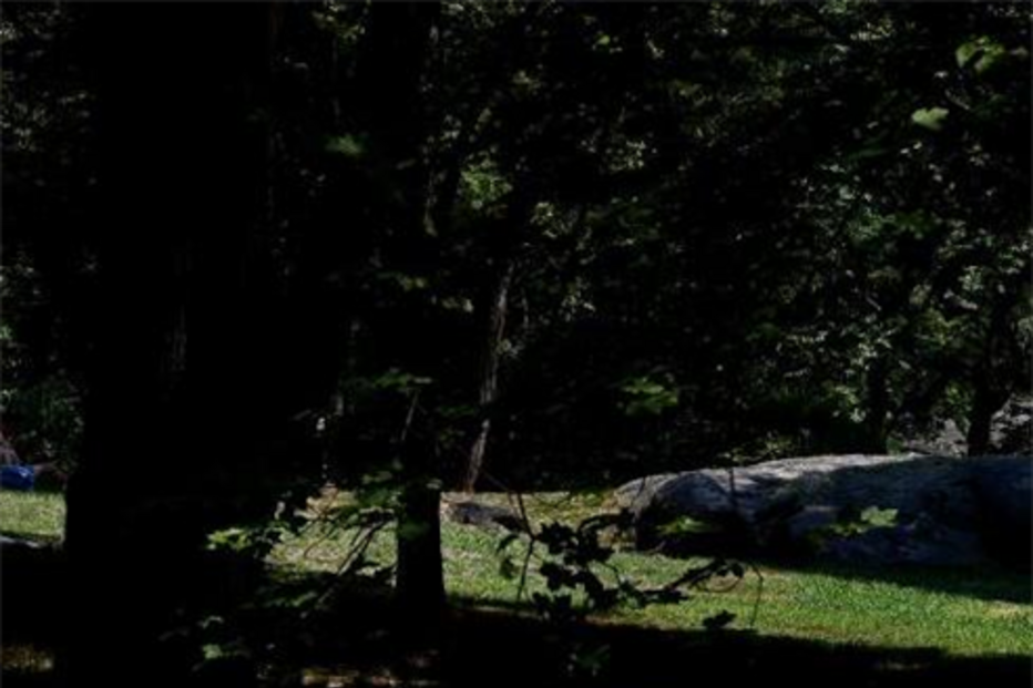 Nova Iorque, EUA, Central Park, Septuagenária, Violação, Violada, Pénis, Manhattan