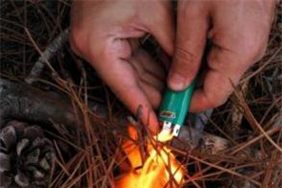 GNR, incendiário, fogo posto, incêndio, detido