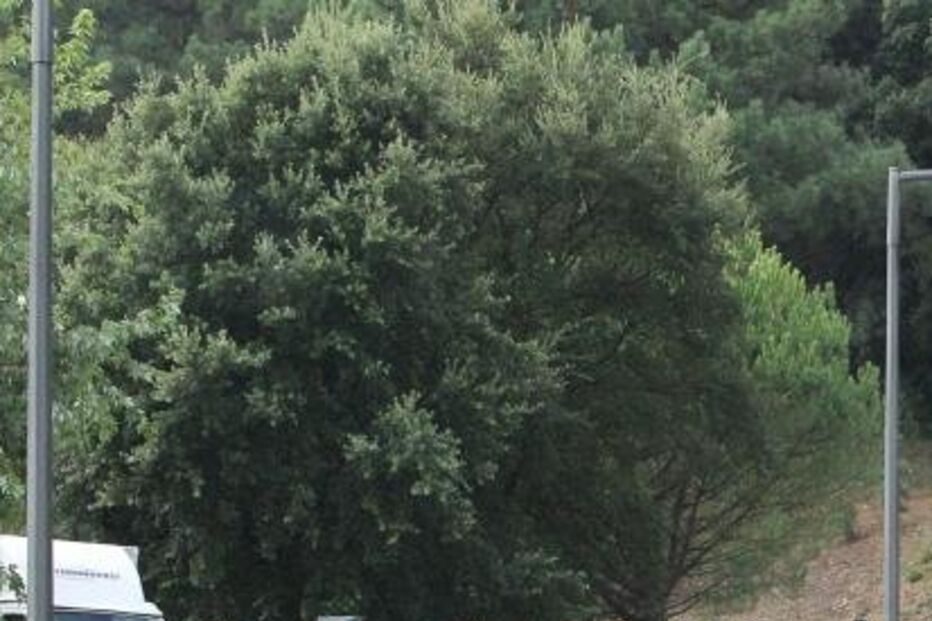 universidade, minho, braga, protesto, estudantes, praxes