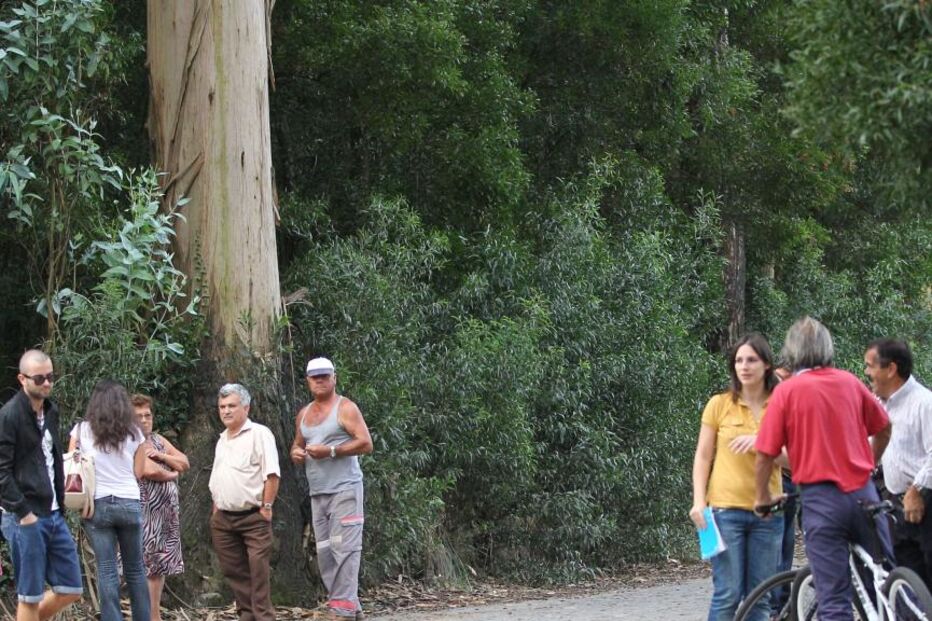 Morre quando ia procurar trabalho (COM VÍDEO)