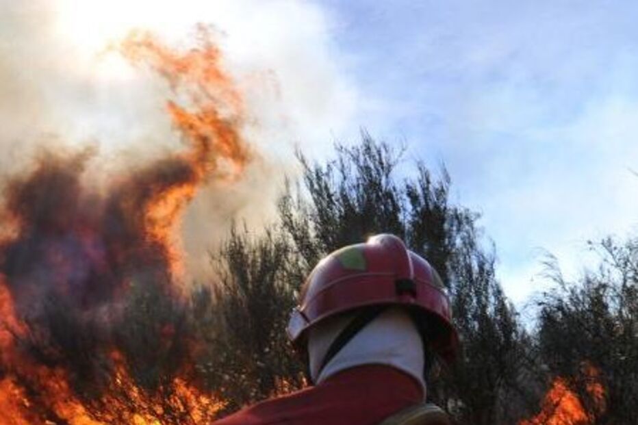 fogo, incêndio, chamas