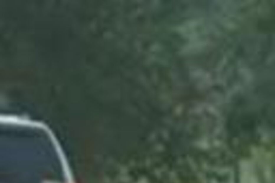 EUA, Houston, roubo, furto, morte, corpo, carro, porta-bagagens, polícia, investigadores, crime, agressão, alvejado