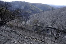 Alarme para fogo em Tavira foi 