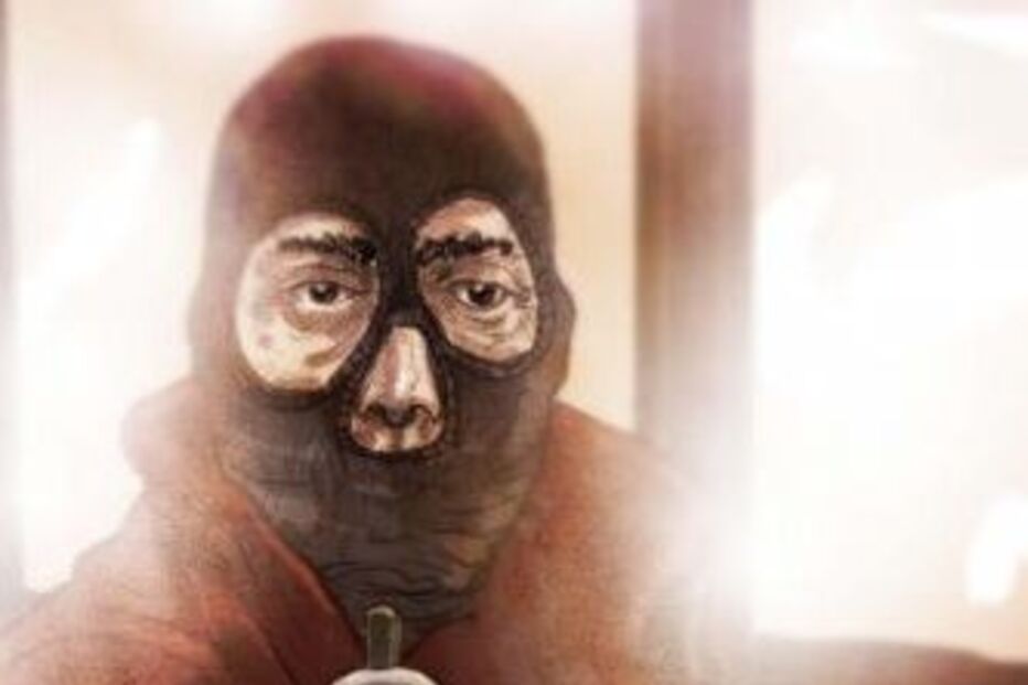 ROUBOS, FURTOS, ASSALTOS, BARREIRO