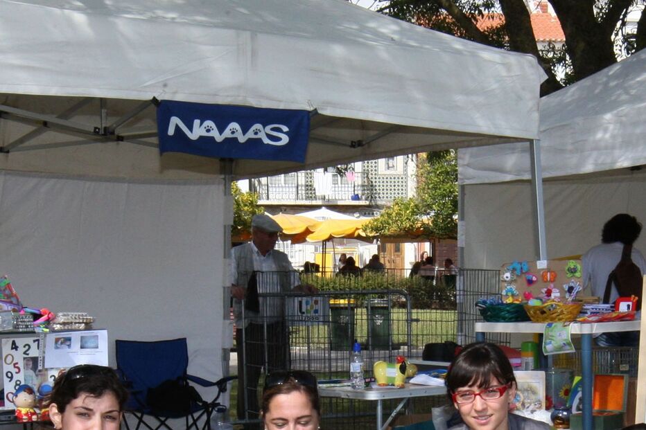 ANIMAIS, ADOPÇÃO, CRISE