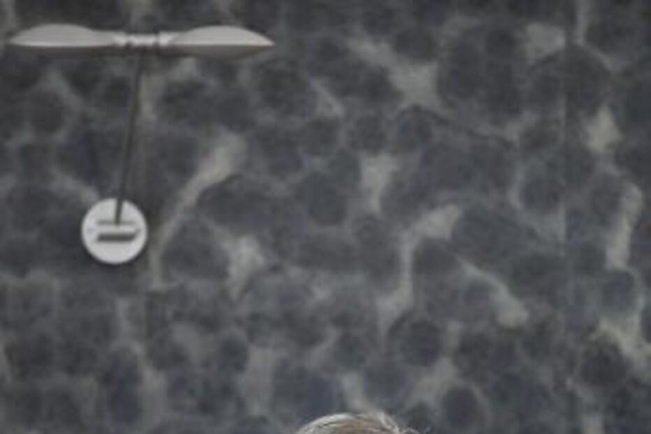 Silva Lopes diz que vai estar nas manifestações contra Merkel