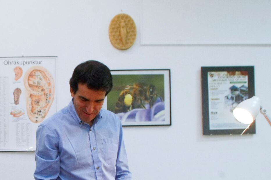 ABELHAS, VENENO, SAÚDE, APITERAPIA, TRATAMENTO