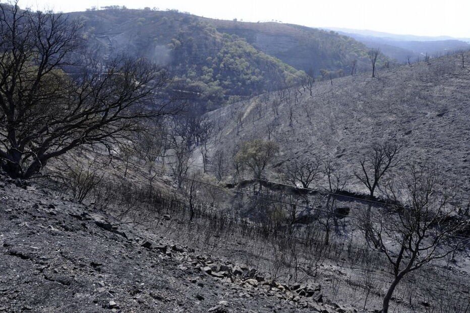 Alarme para fogo em Tavira foi 