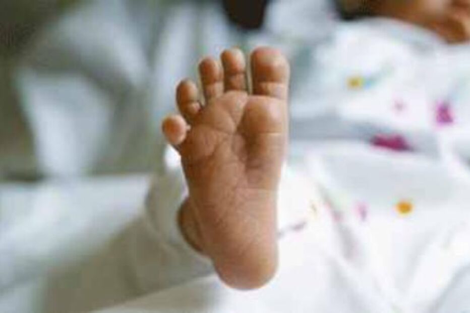 taxa, natalidade, bebés, prematuros, maternidade, alfredo da costa, teresa tomé