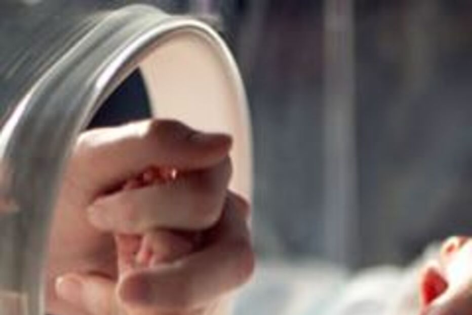 Bebés, estudo, prematuros