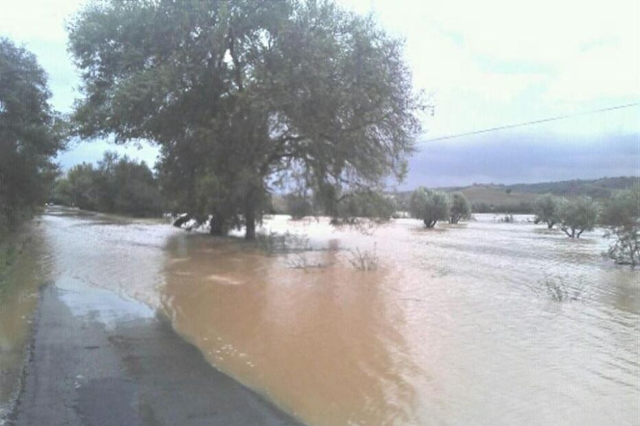 évora, mau tempo, inundações, vila viçosa, bombeiros, A6, despistes