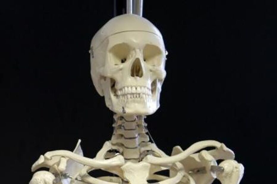 sexo, relações sexuais, necrofilia, suécia, necrófila, esqueleto, ossos, gutemburgo