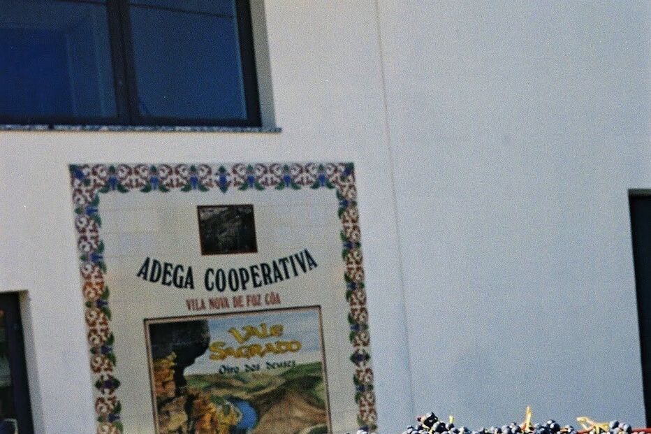 adega, empresário, remodelação, foz côa