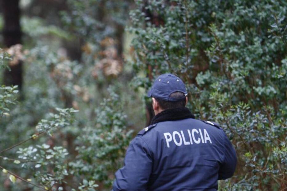 ARMAS DE FOGO, PSP, CONDIÇÕES DE SAÚDE, ILEGALIDADES