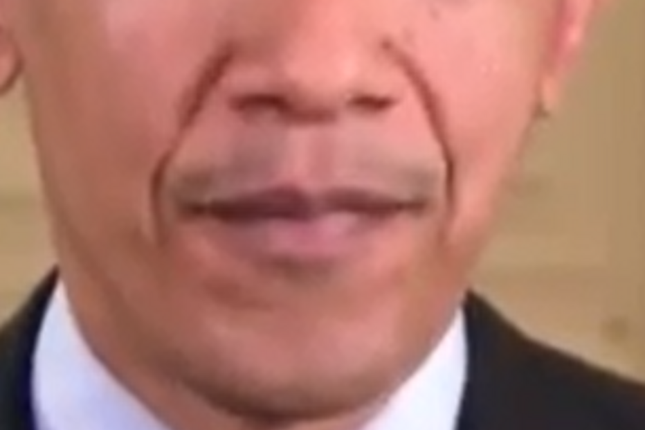 barack obama, eua, casa branca, bigode, barba, dia de acção de graças