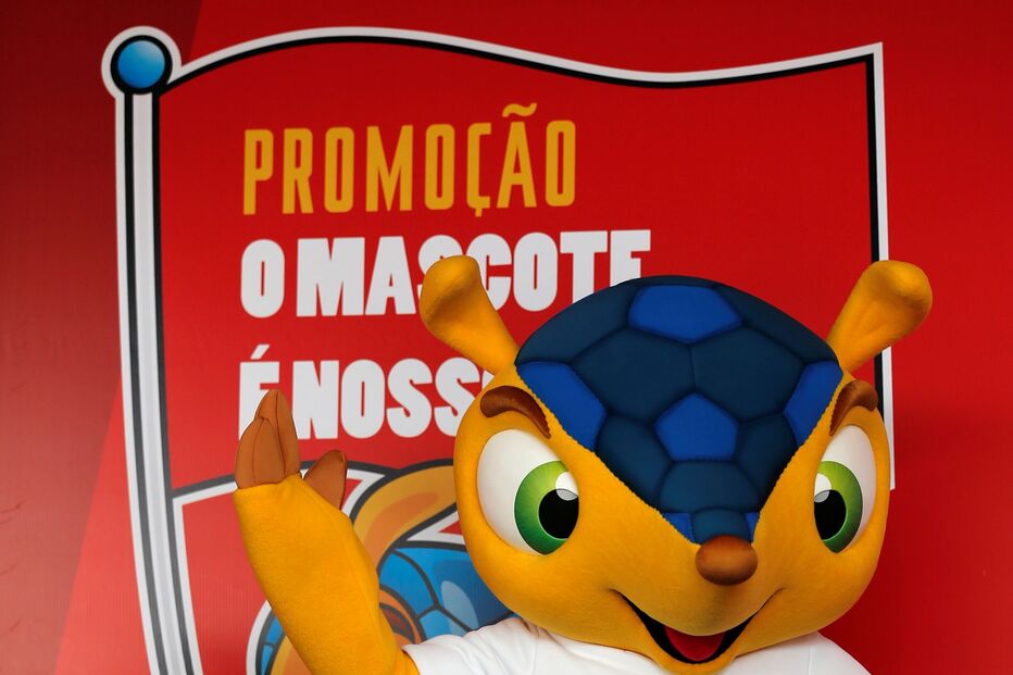 FULECO, TATU, BRASIL, MUNDIAL'2014, MASCOTE