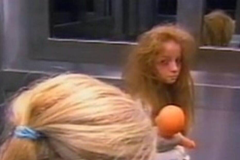 Brasil, Televisão, Sílvio Santos, Apanhado, Pegadinha, Elevador, Menina Fantasma, Fantasma, Internet, TV