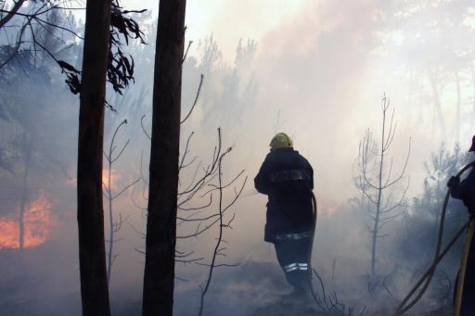 FARO, INCÊNDIOS, ALGARVE, PROTECÇÃO CIVIL